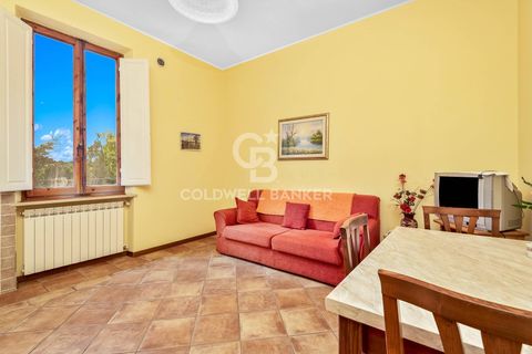 Farm i Montecarlo, Lucca, Montecarlo - € 1.690.000 | Ref: CBI129-1788-129962 - foto 29