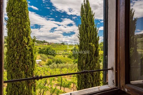 Farm i Montecarlo, Lucca, Montecarlo - € 1.690.000 | Ref: CBI129-1788-129962 - foto 31