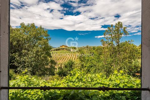 Farm i Montecarlo, Lucca, Montecarlo - € 1.690.000 | Ref: CBI129-1788-129962 - foto 35