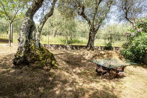 Villa i Camaiore, Lucca, Camaiore - € 620.000 | Ref: CBI129-1912-129984 - foto 49