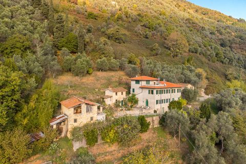 Landejendom i Camaiore, Lucca, Camaiore - € 395.000 | Ref: CBI129-1780-130018 - foto 3