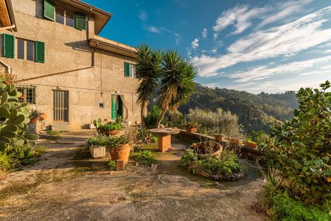 Landejendom i Camaiore, Lucca, Camaiore - € 395.000 | Ref: CBI129-1780-130018 - foto 5