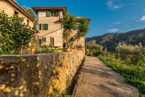 Landejendom i Camaiore, Lucca, Camaiore - € 395.000 | Ref: CBI129-1780-130018 - foto 6