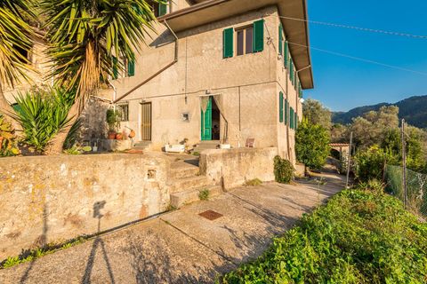 Landejendom i Camaiore, Lucca, Camaiore - € 395.000 | Ref: CBI129-1780-130018 - foto 4
