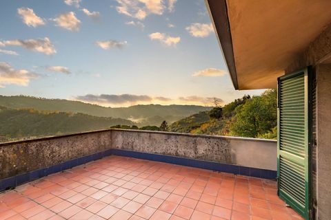 Landejendom i Camaiore, Lucca, Camaiore - € 395.000 | Ref: CBI129-1780-130018 - foto 17
