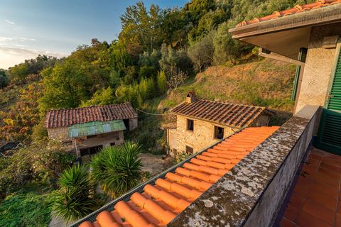 Landejendom i Camaiore, Lucca, Camaiore - € 395.000 | Ref: CBI129-1780-130018 - foto 26