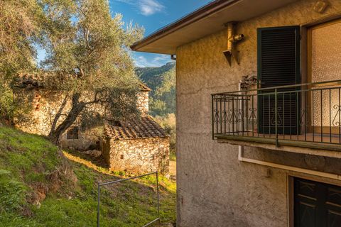 Landejendom i Camaiore, Lucca, Camaiore - € 395.000 | Ref: CBI129-1780-130018 - foto 27