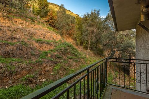 Landejendom i Camaiore, Lucca, Camaiore - € 395.000 | Ref: CBI129-1780-130018 - foto 28