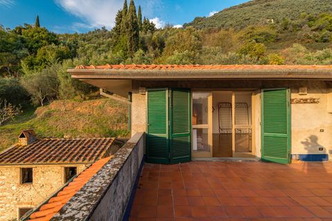 Landejendom i Camaiore, Lucca, Camaiore - € 395.000 | Ref: CBI129-1780-130018 - foto 15