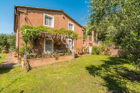 Villa a Massarosa, Lucca, Massarosa - € 1.200.000 | Ref: CBI129-1912-130083 - foto 2