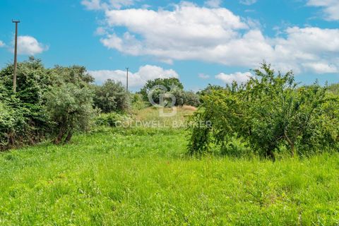 Villa a Pietrasanta, Lucca, Pietrasanta - € 990.000 | Ref: CBI129-1593-130100 - foto 9