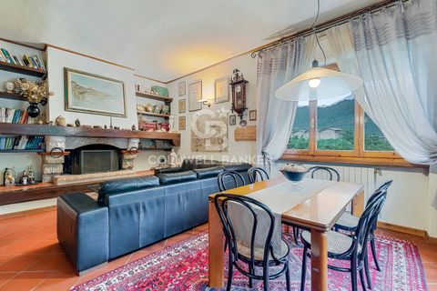 Villa a Pietrasanta, Lucca, Pietrasanta - € 750.000 | Ref: CBI129-1593-130103 - foto 8