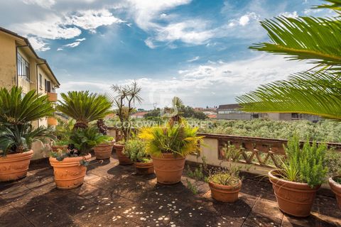 Villa a Pietrasanta, Lucca, Pietrasanta - € 750.000 | Ref: CBI129-1593-130103 - foto 26