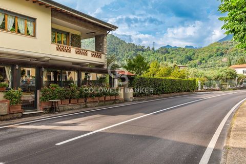 Villa a Pietrasanta, Lucca, Pietrasanta - € 750.000 | Ref: CBI129-1593-130103 - foto 30