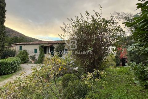 Villa en Lucca, Lucca, Lucca - € 620.000 | Ref: CBI129-1788-130177 - photo 2