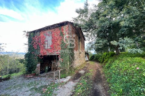 Villa en Lucca, Lucca, Lucca - € 620.000 | Ref: CBI129-1788-130177 - photo 7