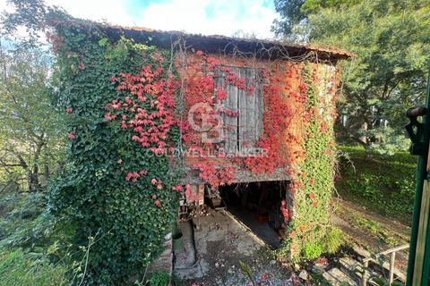 Villa en Lucca, Lucca, Lucca - € 620.000 | Ref: CBI129-1788-130177 - photo 37