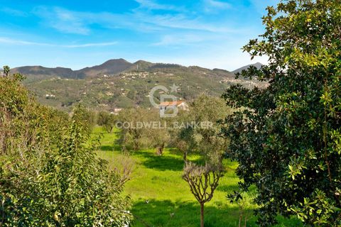 Villa i Pietrasanta, Lucca, Pietrasanta - € 2.500.000 | Ref: CBI129-1110-130226 - foto 3