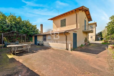Villa i Pietrasanta, Lucca, Pietrasanta - € 2.500.000 | Ref: CBI129-1110-130226 - foto 4