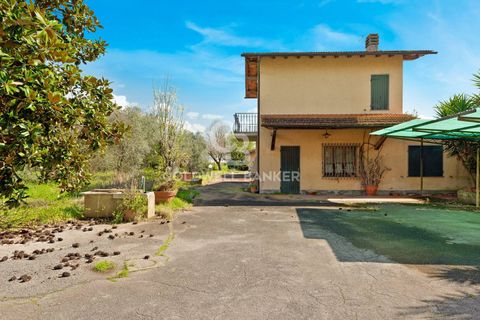 Villa i Pietrasanta, Lucca, Pietrasanta - € 2.500.000 | Ref: CBI129-1110-130226 - foto 5
