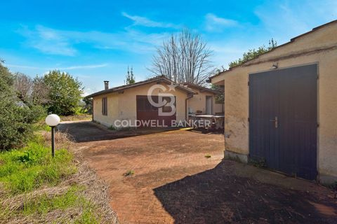 Villa i Pietrasanta, Lucca, Pietrasanta - € 2.500.000 | Ref: CBI129-1110-130226 - foto 7