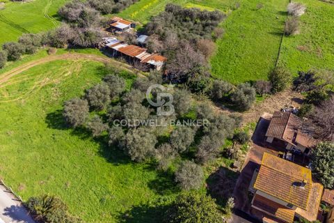 Villa i Pietrasanta, Lucca, Pietrasanta - € 2.500.000 | Ref: CBI129-1110-130226 - foto 9