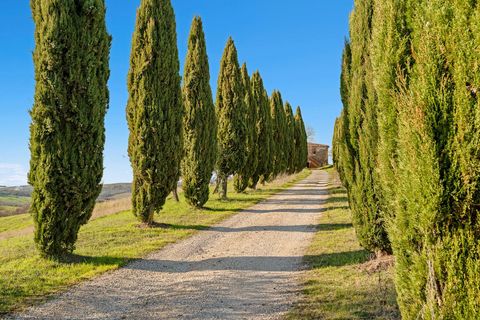 Landejendom i Trequanda, Siena, Trequanda - € 3.800.000 | Ref: CBI129-1110-130235 - foto 1