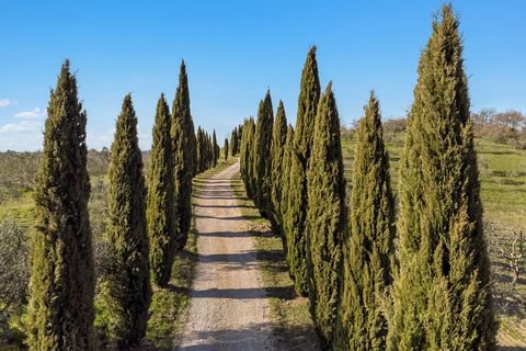 Landejendom i Trequanda, Siena, Trequanda - € 3.800.000 | Ref: CBI129-1110-130235 - foto 4