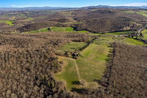 Landejendom i Trequanda, Siena, Trequanda - € 3.800.000 | Ref: CBI129-1110-130235 - foto 13