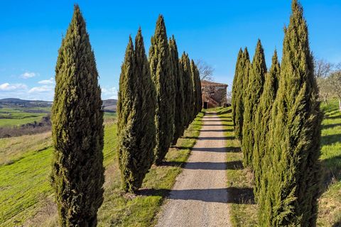 Landejendom i Trequanda, Siena, Trequanda - € 3.800.000 | Ref: CBI129-1110-130235 - foto 17