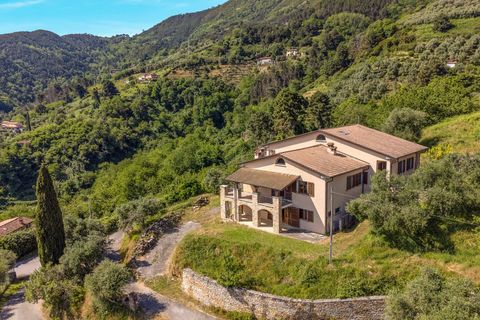 Villa i Pietrasanta, Lucca, Pietrasanta - € 2.000.000 | Ref: CBI129-2006-130259 - foto 3