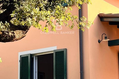 Villa i Pietrasanta, Lucca, Pietrasanta - € 780.000 | Ref: CBI129-2006-130311 - foto 20