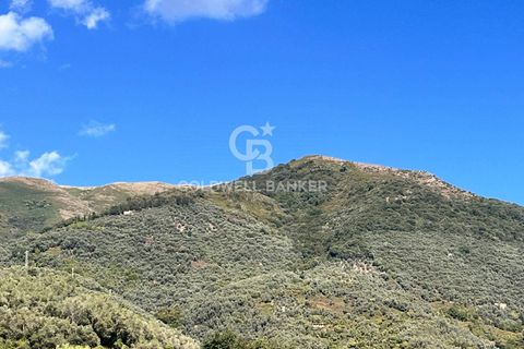 Villa a Camaiore, Lucca, Camaiore - € 840.000 | Ref: CBI129-2006-130318 - foto 22