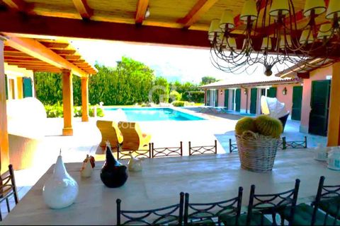Villa i Pietrasanta, Lucca, Pietrasanta - € 5.000.000 | Ref: CBI129-2610-130357 - foto 3