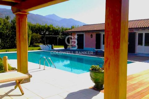 Villa i Pietrasanta, Lucca, Pietrasanta - € 5.000.000 | Ref: CBI129-2610-130357 - foto 4