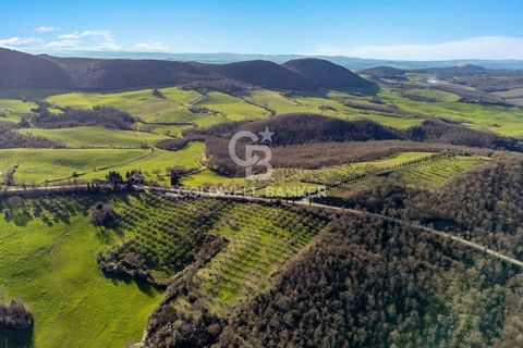 Villa a Trequanda, Siena, Trequanda - € 1.700.000 | Ref: CBI129-2046-130375 - foto 19