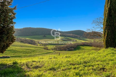 Villa a Trequanda, Siena, Trequanda - € 1.700.000 | Ref: CBI129-2046-130375 - foto 20