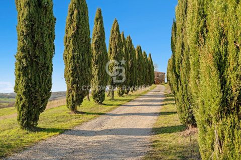 Villa i Trequanda, Siena, Trequanda - € 2 100 000 | Ref: CBI129-1110-130377 - foto 6