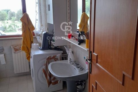 Villa i Camaiore, Lucca, Camaiore - € 380.000 | Ref: CBI129-2610-130392 - foto 14