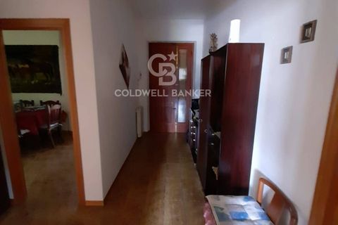 Villa i Camaiore, Lucca, Camaiore - € 380.000 | Ref: CBI129-2610-130392 - foto 17