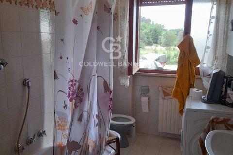 Villa i Camaiore, Lucca, Camaiore - € 380.000 | Ref: CBI129-2610-130392 - foto 18