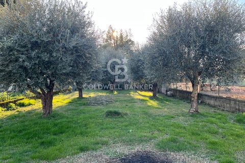 Villa i Pietrasanta, Lucca, Pietrasanta - € 650.000 | Ref: CBI129-2006-130399 - foto 4