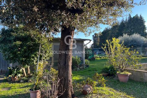 Villa i Pietrasanta, Lucca, Pietrasanta - € 650.000 | Ref: CBI129-2006-130399 - foto 16