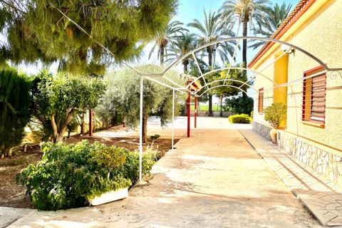 Landejendom i Elche, Alicante, Elche - € 429.000 | Ref: COL-56171 - foto 7