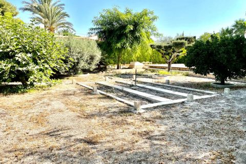 Landejendom i Elche, Alicante, Elche - € 429.000 | Ref: COL-56171 - foto 16