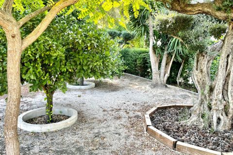 Landejendom i Elche, Alicante, Elche - € 429.000 | Ref: COL-56171 - foto 19