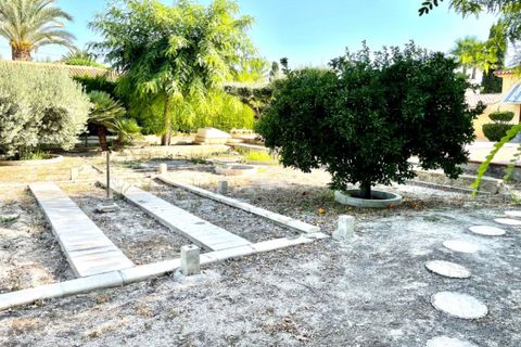 Landejendom i Elche, Alicante, Elche - € 429.000 | Ref: COL-56171 - foto 20