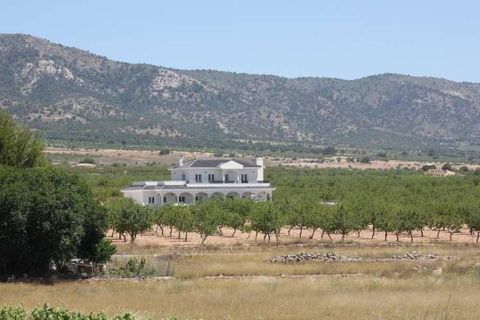 Villa i Pinoso, Alicante, Pinoso - € 547.000 | Ref: CON-75623 - foto 15