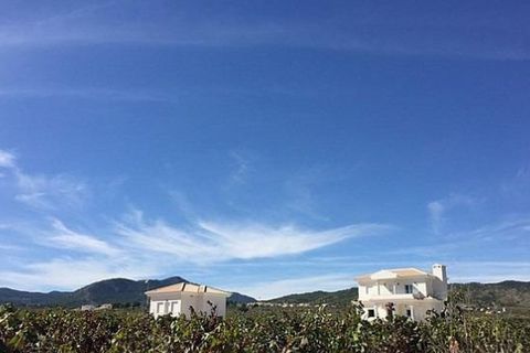 Villa i Pinoso, Alicante, Pinoso - € 375.000 | Ref: CON-93919 - foto 22