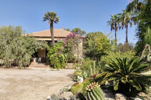 Landejendom i Elche, Alicante, Elche - € 395.000 | Ref: col-38710 - foto 2